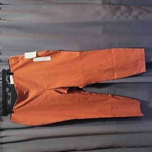 A NEW DAY WOMEN'S/JUNIORS  RUST CROPPED PANTS. NWT/SIZE 17